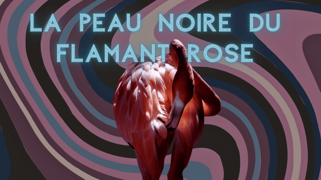 La Peau noire du flamant rose, une vignette&nbsp;giallo