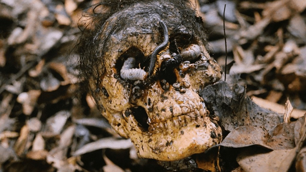 Cannibal Holocaust, symphonie de&nbsp;l’horreur