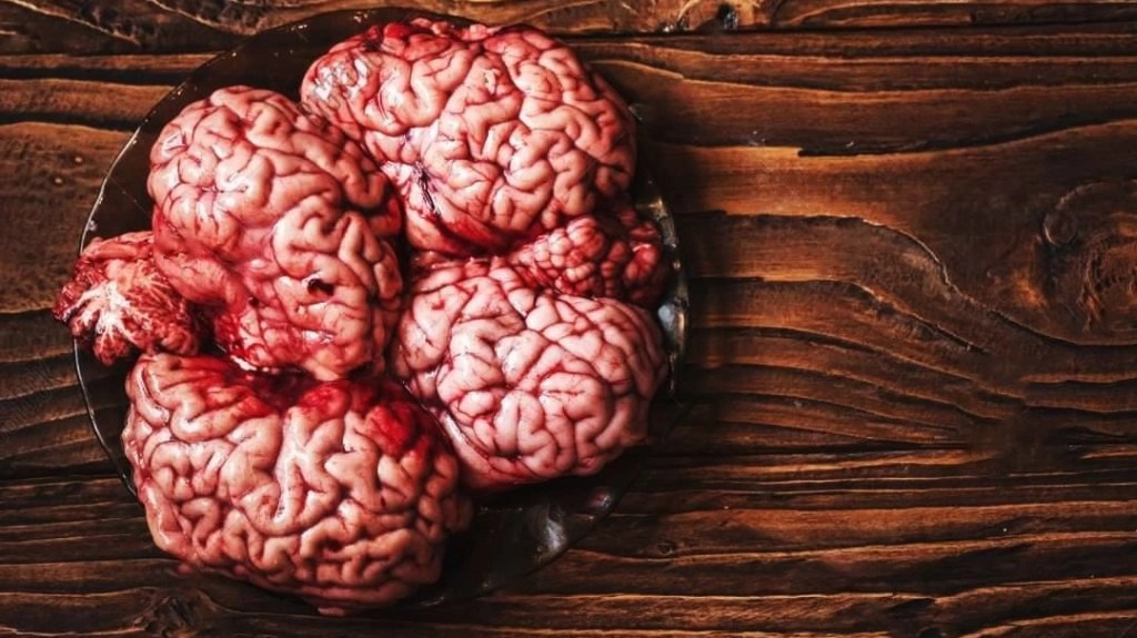 Cannibalisme et gastronomie avec un chef&nbsp;cuistot