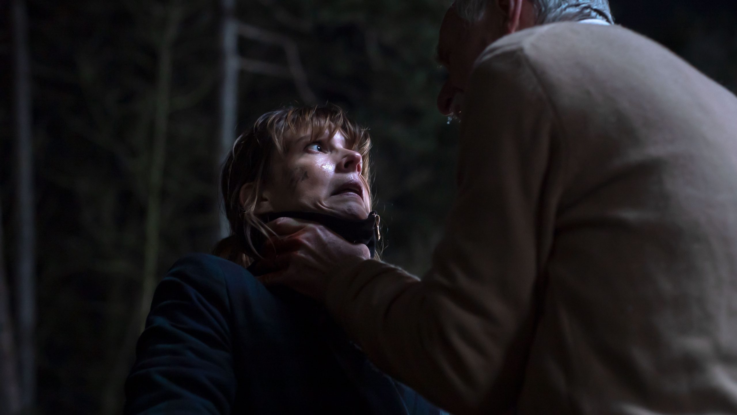 Serial blogueuse, Ivo Van Art, 2019