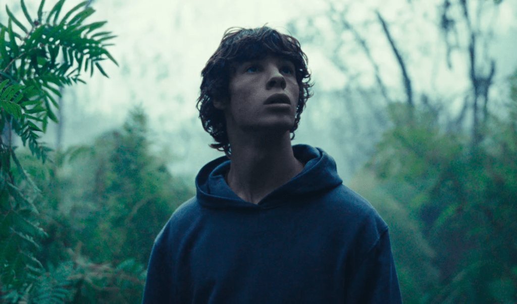 Le Règne animal, pagaille dans la&nbsp;forêt