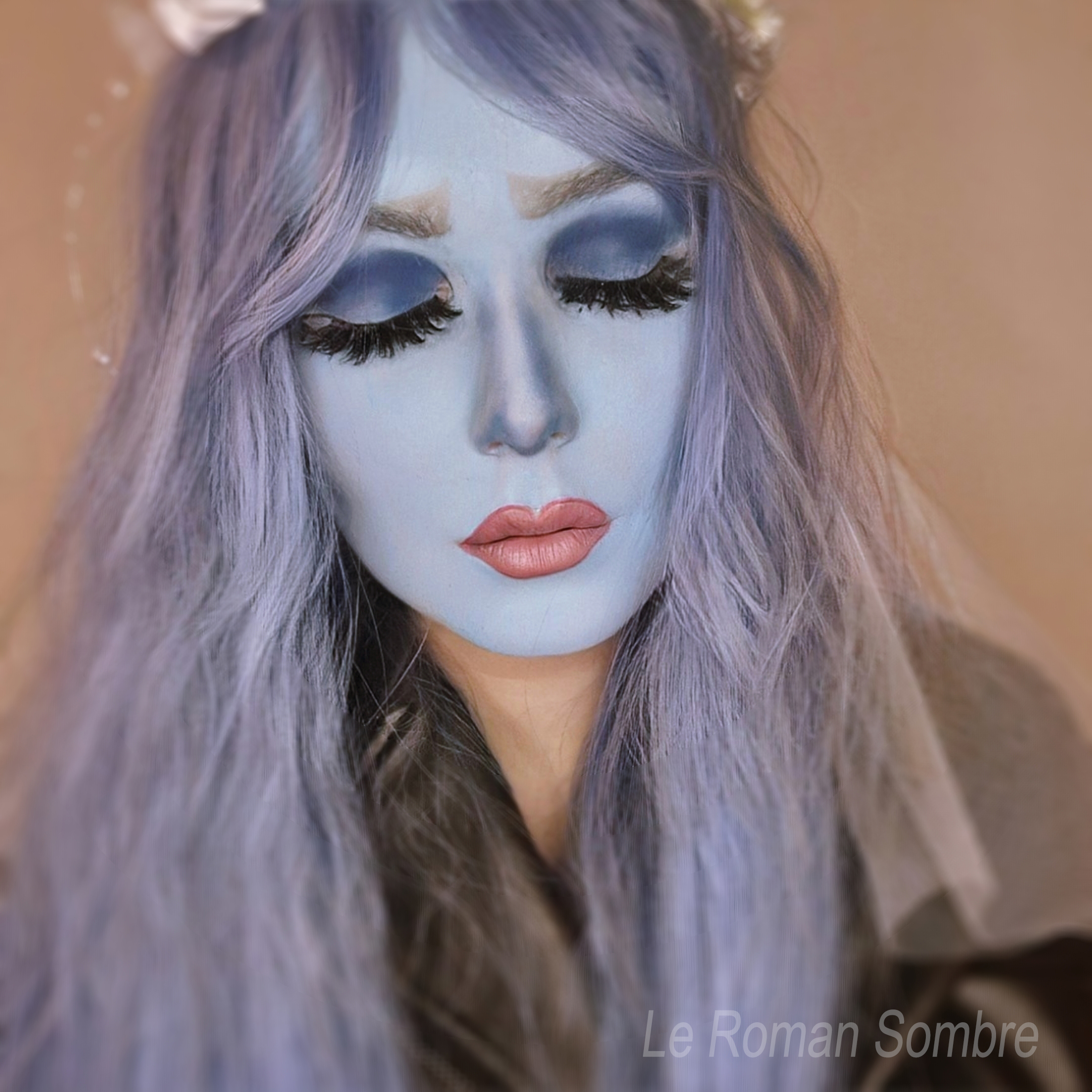 Le Roman Sombre, entretien à visage découvert