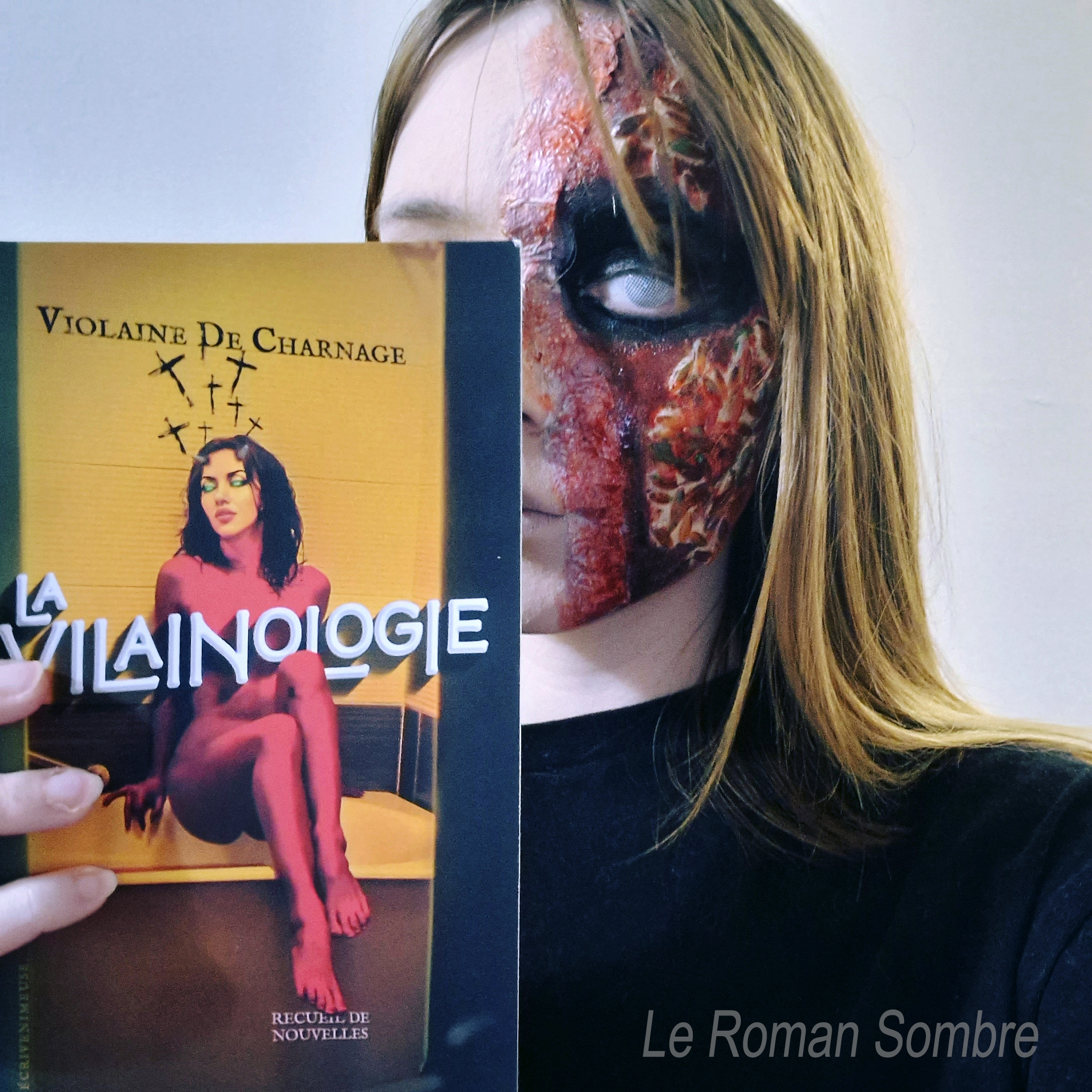 Le Roman Sombre, entretien à visage découvert