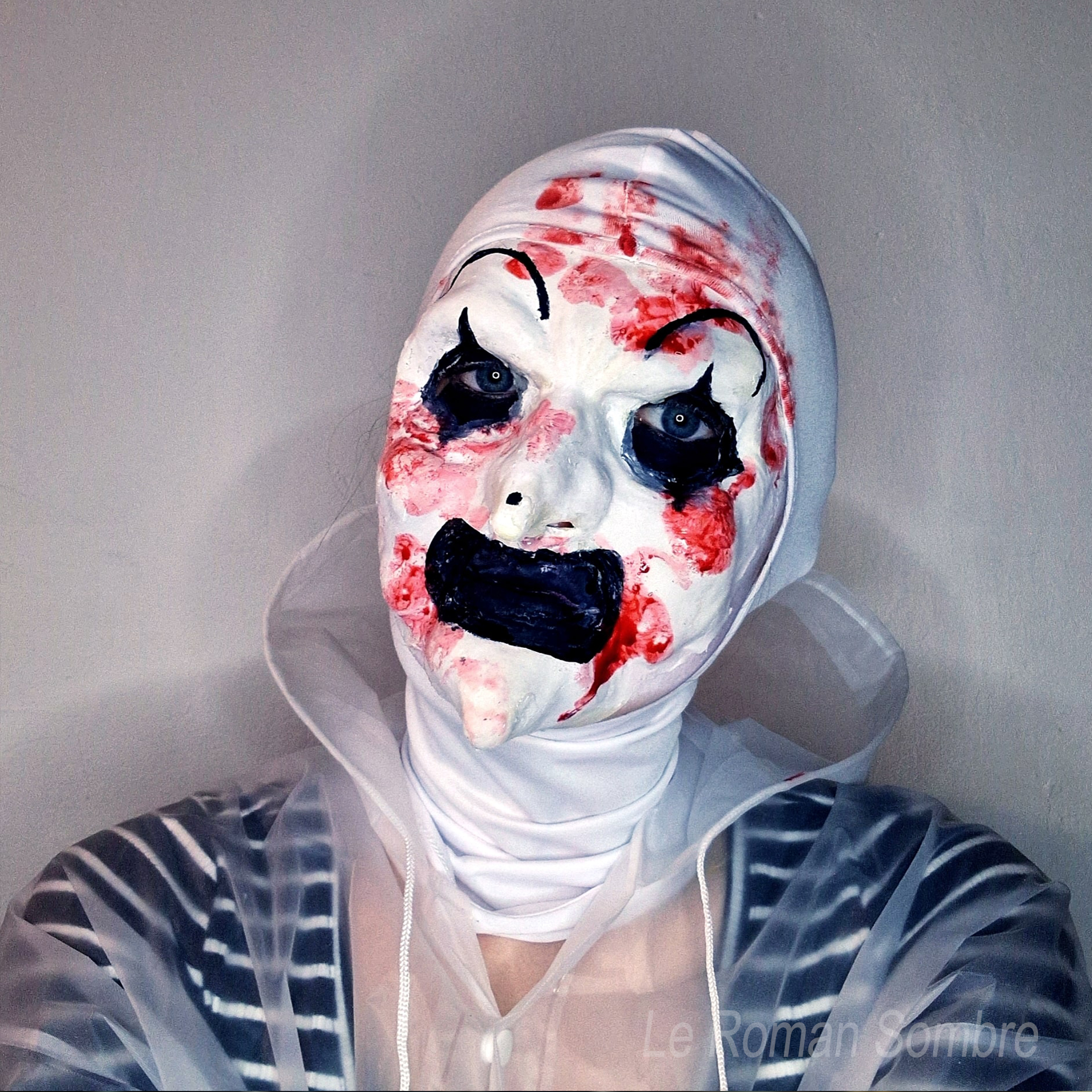 Le Roman Sombre, entretien à visage découvert