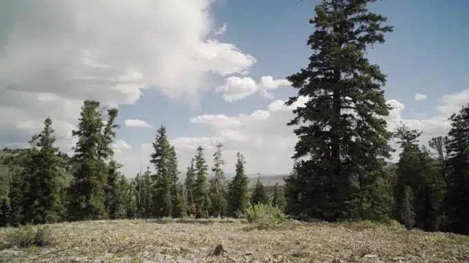 Horror in the High Desert, un fake true crime&nbsp;surprenant