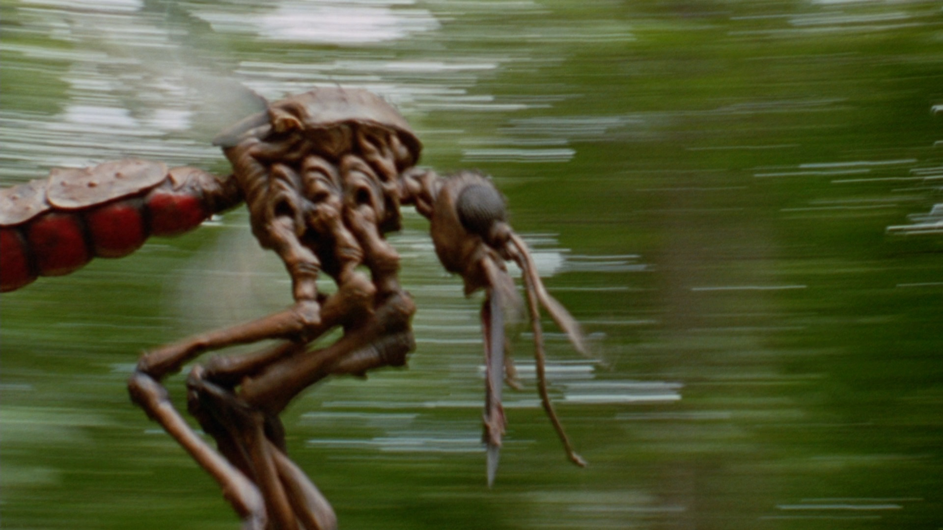 Mosquito, un film&nbsp;maousse-tiques…