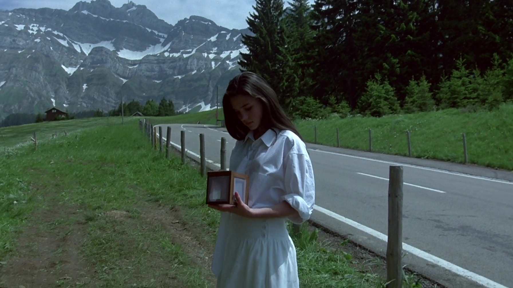 Phenomena, Dario Argento