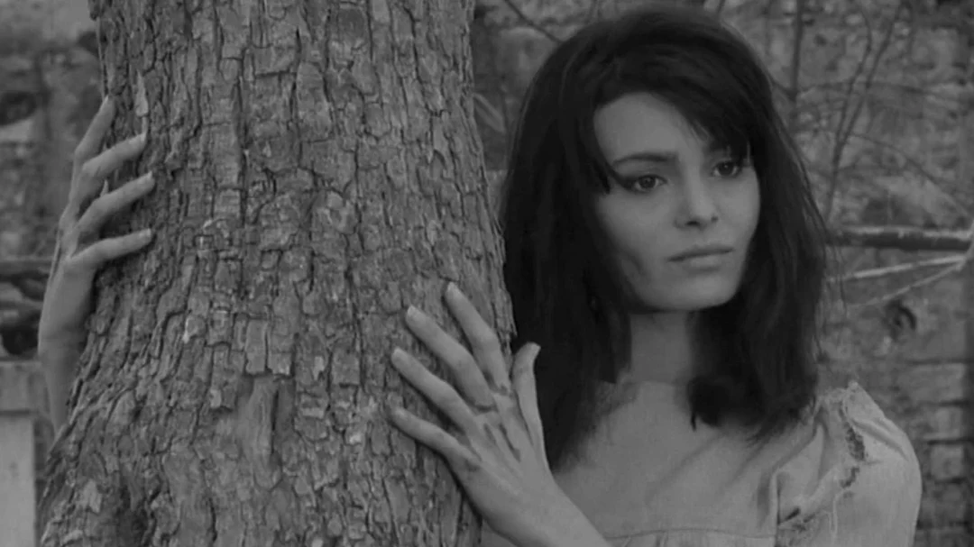 Woodlands Dark and Day Bewitched, 2021