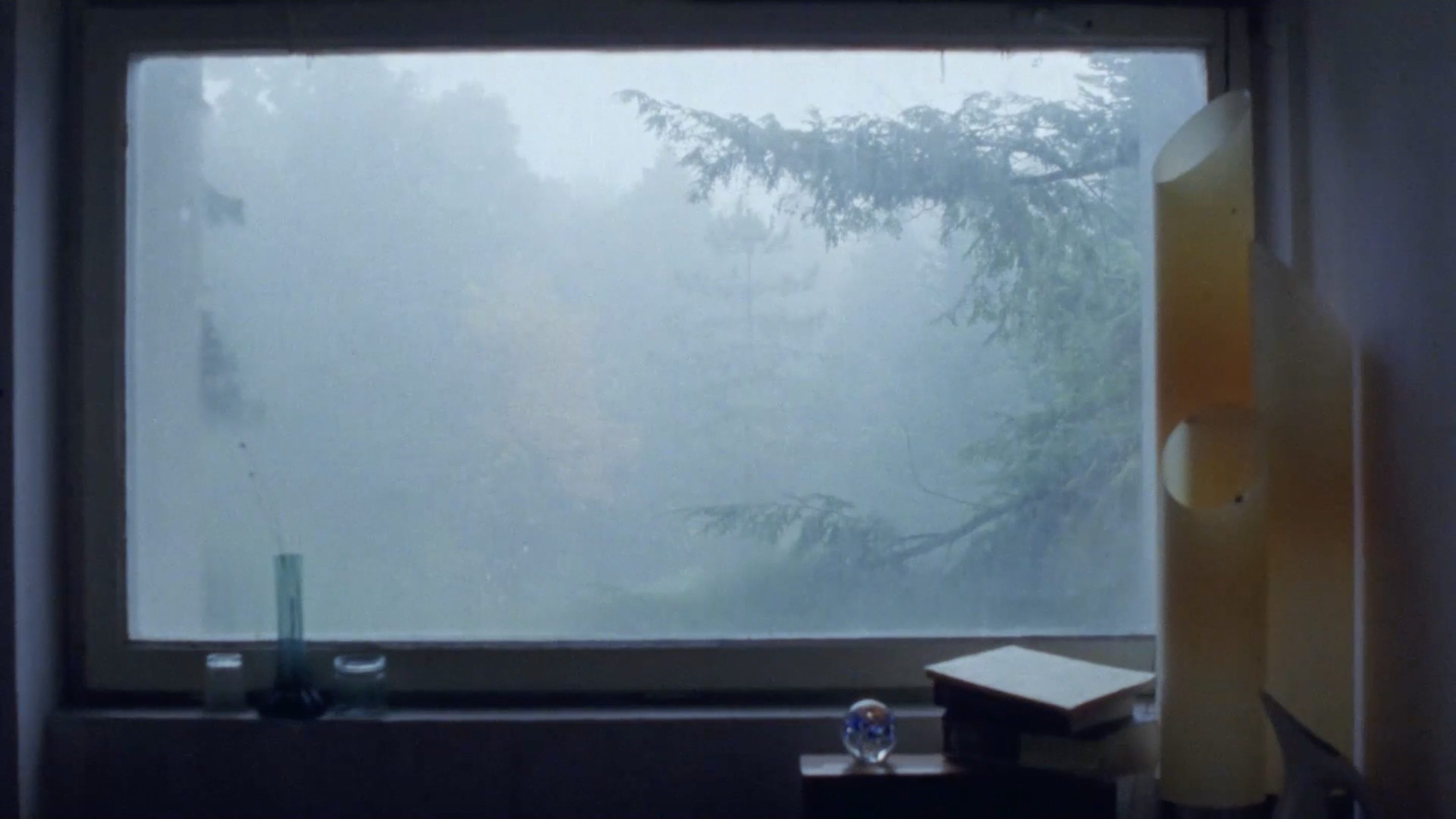 Mammalia - Premier plan après l’épisode du hangar, dont la réalité semble avoir été légèrement altérée