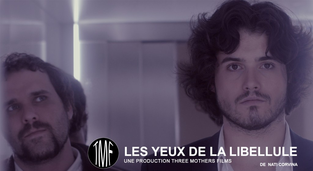 Les Yeux de la Libellule, un petit thriller fantastique sur la thématique de&nbsp;l&rsquo;enfance