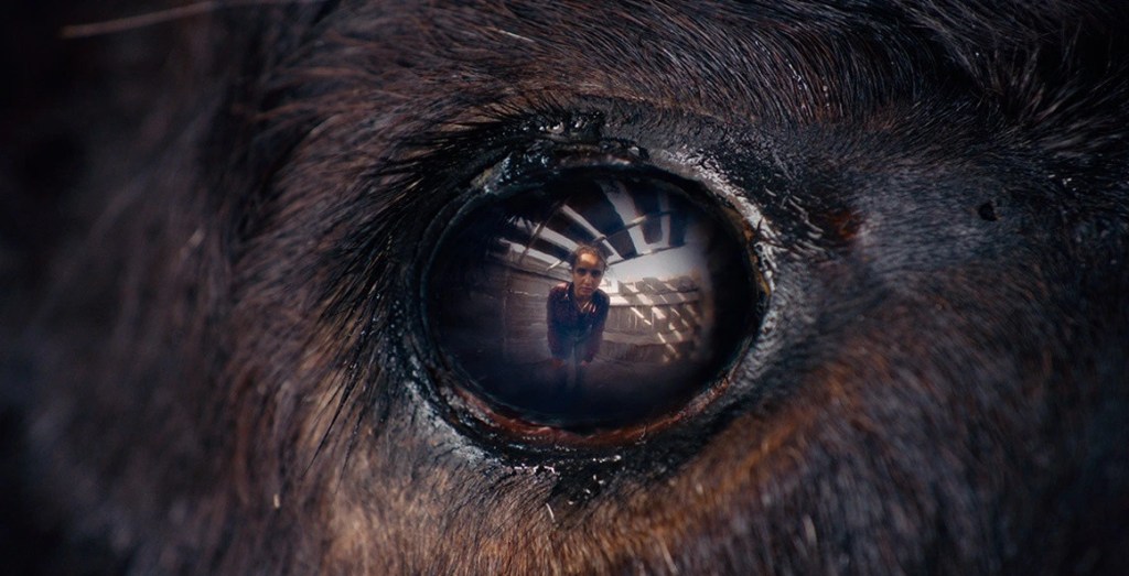 Animale (Emma Benestan, 2024)