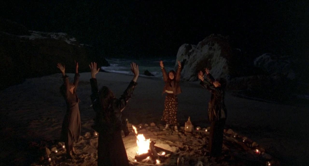 Dangereuse Alliance (Andrew Flemming, 1996)