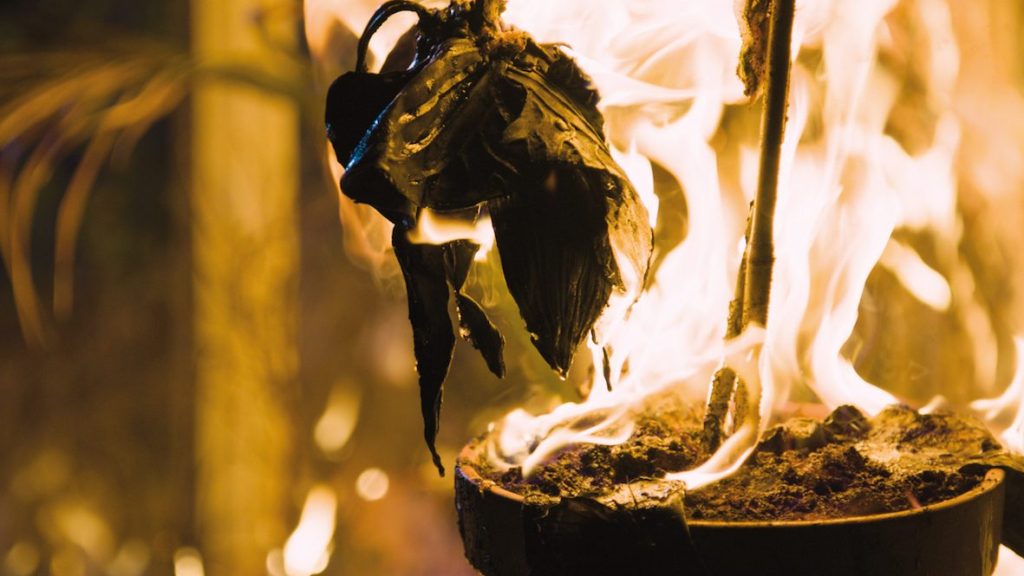 Une fleur qui s'enflamme. Image provenant du film Pojkarna de Alexandra-Therese Keining sorti en 2015.